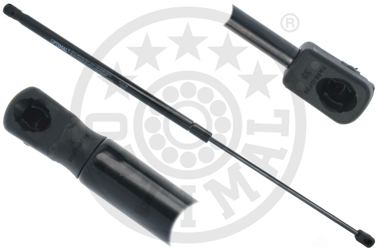 Gas Spring, boot/cargo area (AG-50198)
