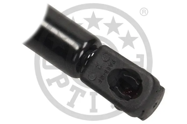 Gas Spring, boot/cargo area