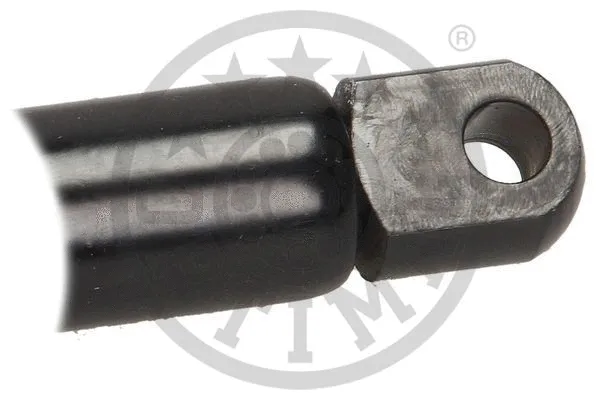 Gas Spring, boot/cargo area