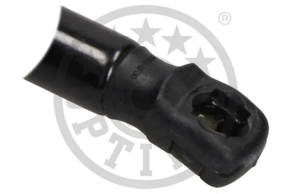 Gas Spring, boot/cargo area
