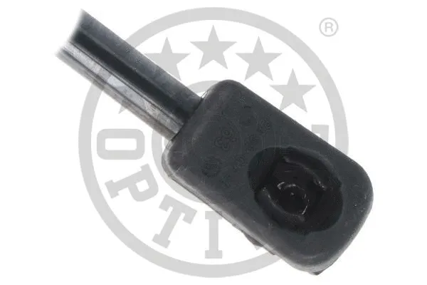 Gas Spring, boot/cargo area