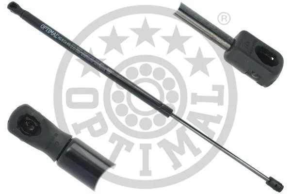 Gas Spring, boot/cargo area (AG-51808)