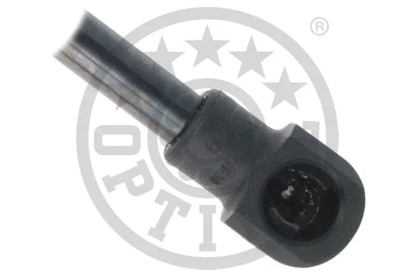 Gas Spring, boot/cargo area