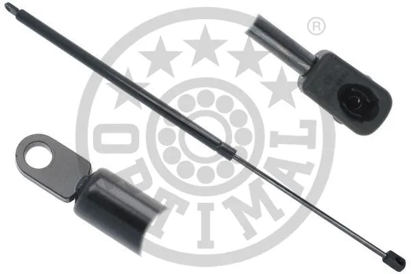 Gas Spring, boot/cargo area (AG-51683)