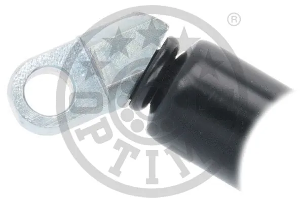 Gas Spring, boot/cargo area
