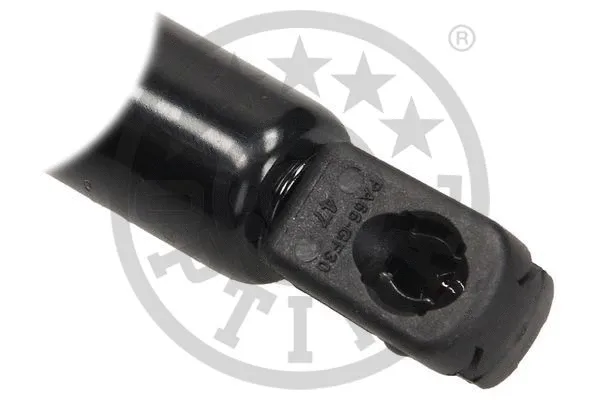 Gas Spring, boot/cargo area