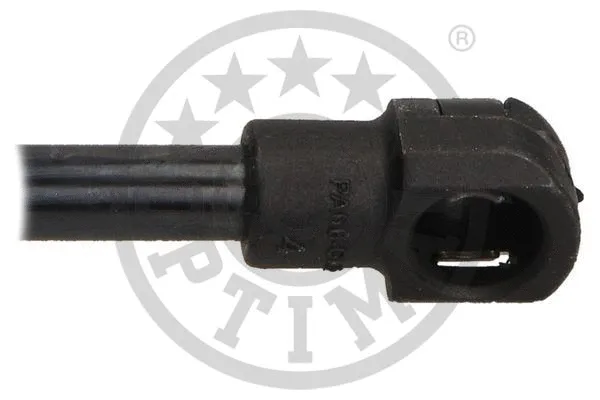 Gas Spring, boot/cargo area