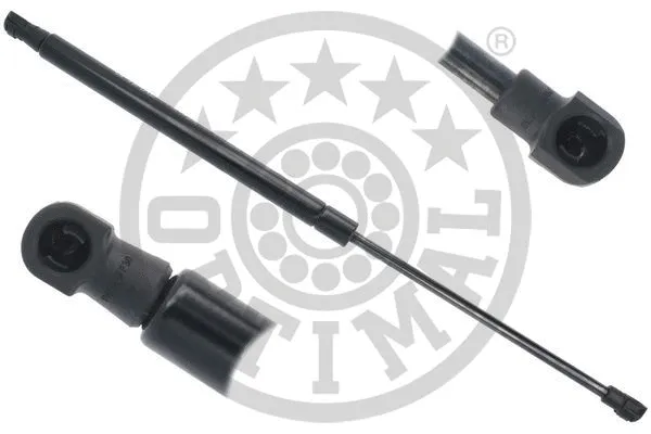 Gas Spring, boot/cargo area (AG-52144)