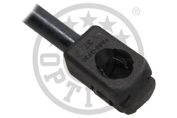 Gas Spring, boot/cargo area