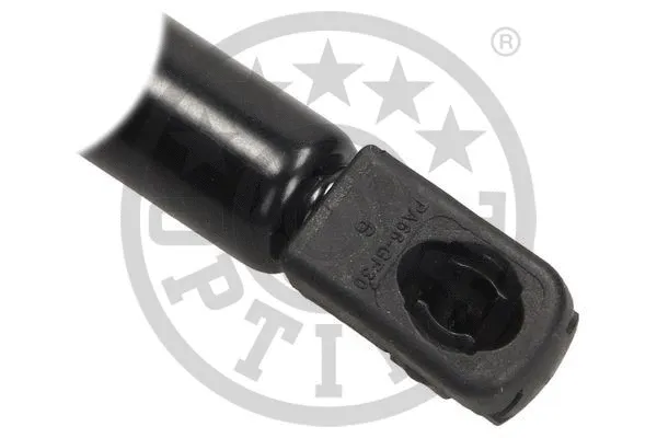Gas Spring, boot/cargo area