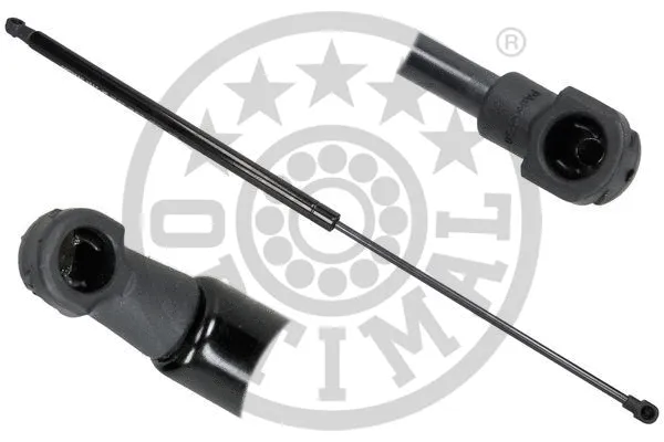 Gas Spring, boot/cargo area (AG-40642)