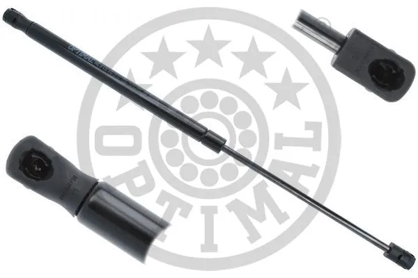 Gas Spring, boot/cargo area (AG-50048)