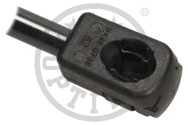 Gas Spring, boot/cargo area