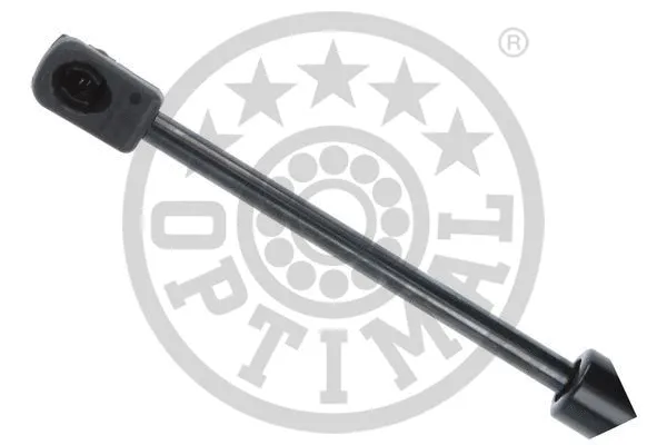 Gas Spring, boot/cargo area