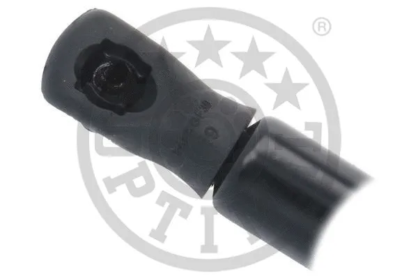 Gas Spring, boot/cargo area