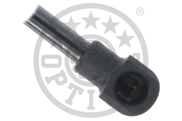 Gas Spring, boot/cargo area