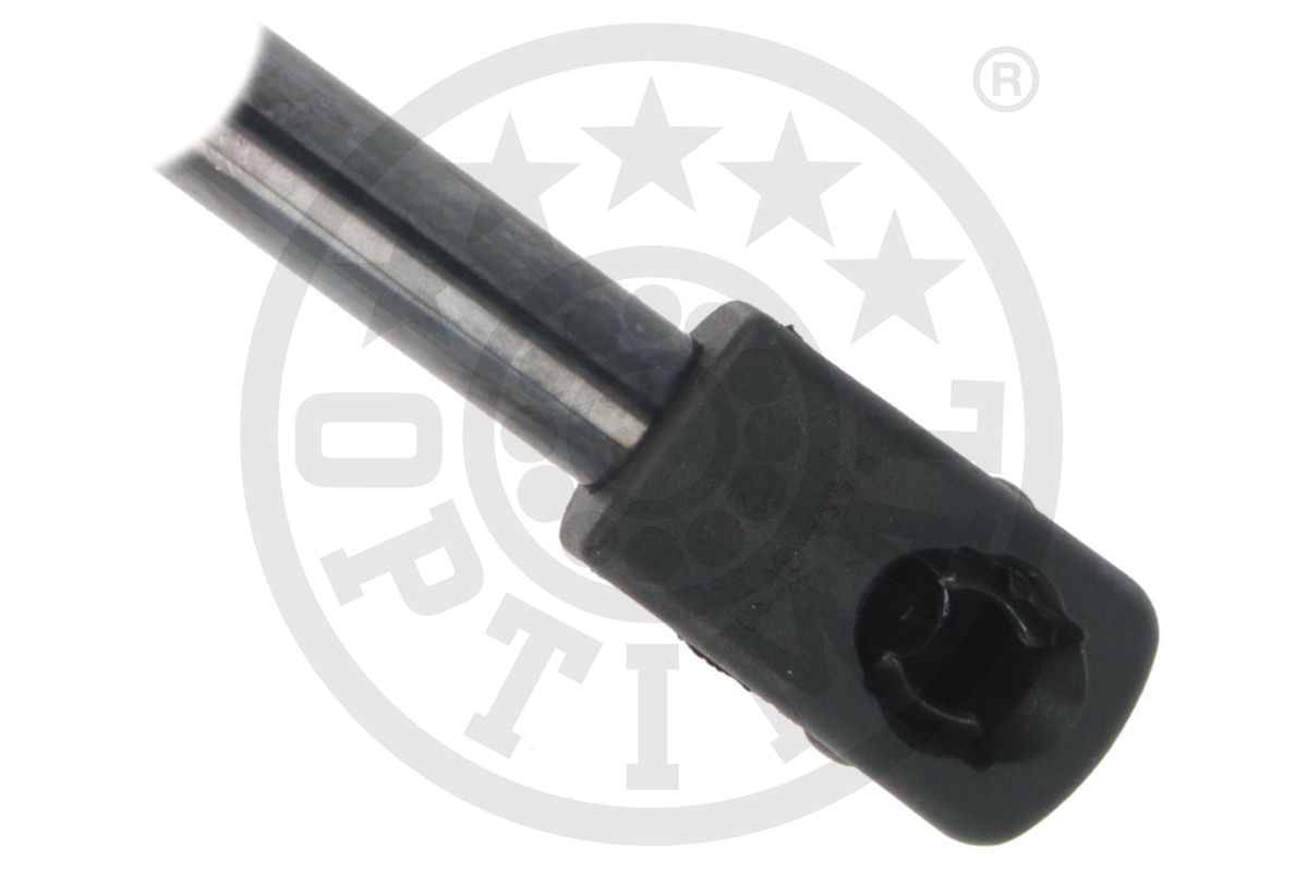 Gas Spring, boot/cargo area