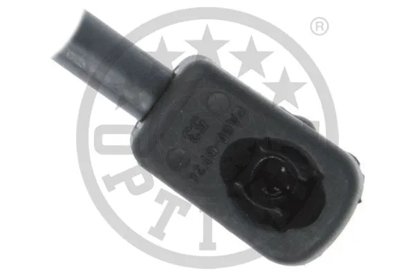 Gas Spring, boot/cargo area