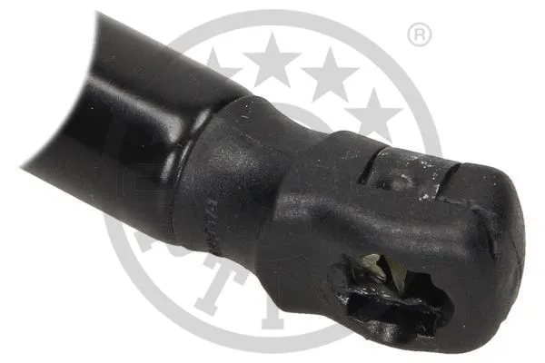 Gas Spring, boot/cargo area