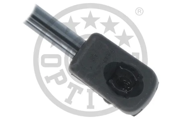 Gas Spring, boot/cargo area