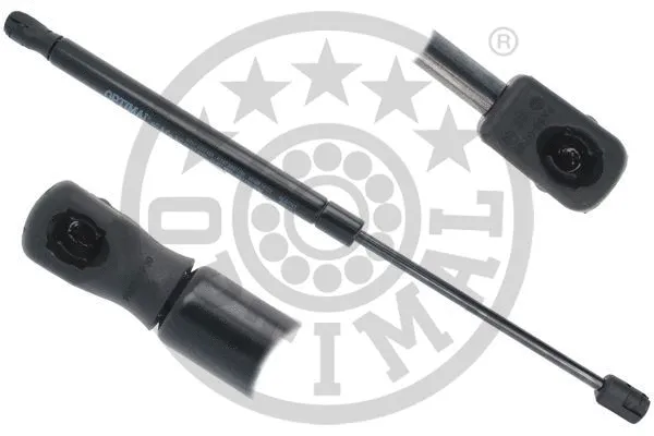 Gas Spring, boot/cargo area (AG-50262)