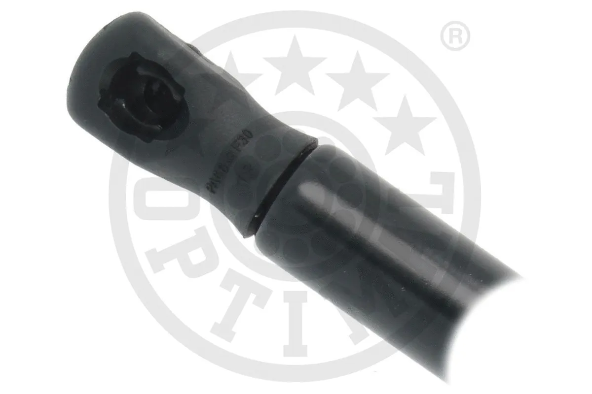 Gas Spring, boot/cargo area
