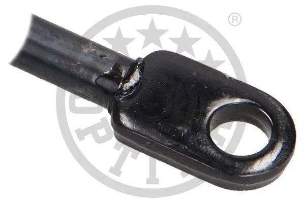 Gas Spring, boot/cargo area