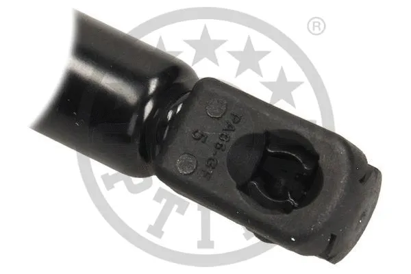 Gas Spring, boot/cargo area