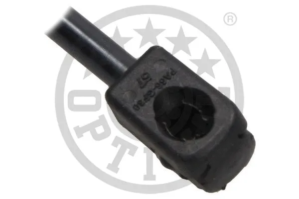 Gas Spring, boot/cargo area