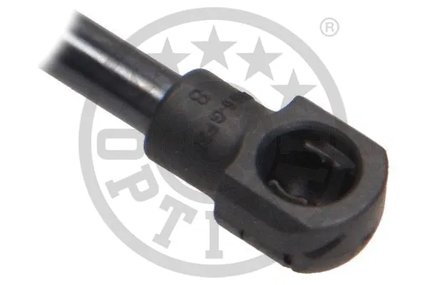 Gas Spring, boot/cargo area