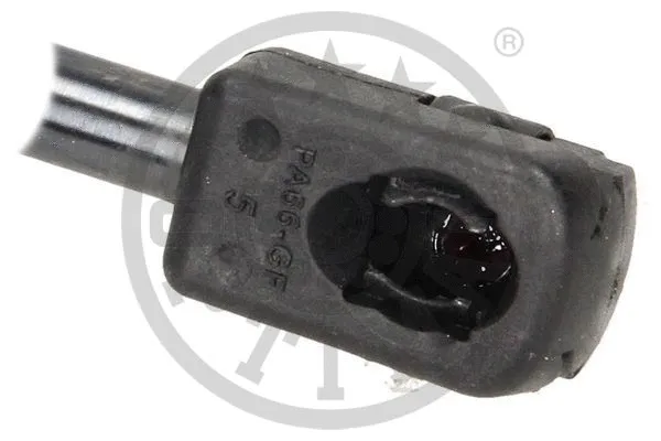 Gas Spring, boot/cargo area