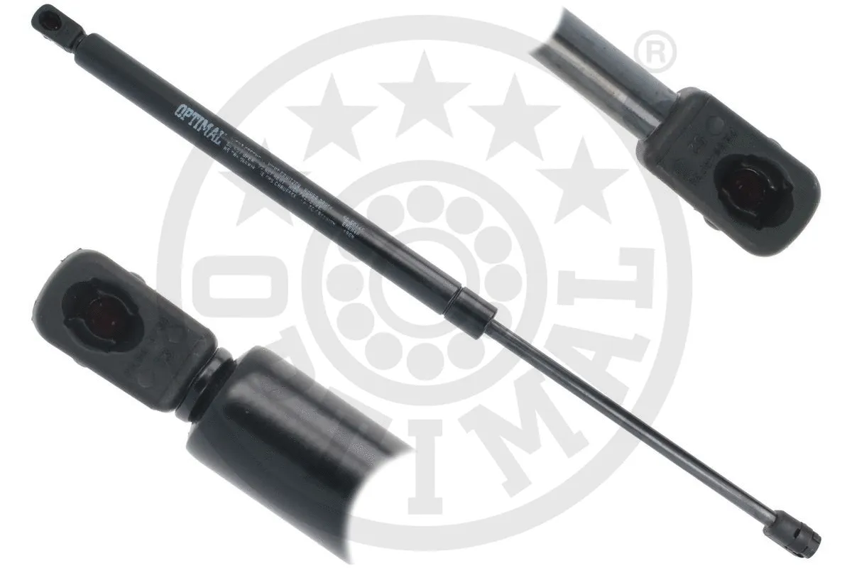 Gas Spring, boot/cargo area (AG-50145)
