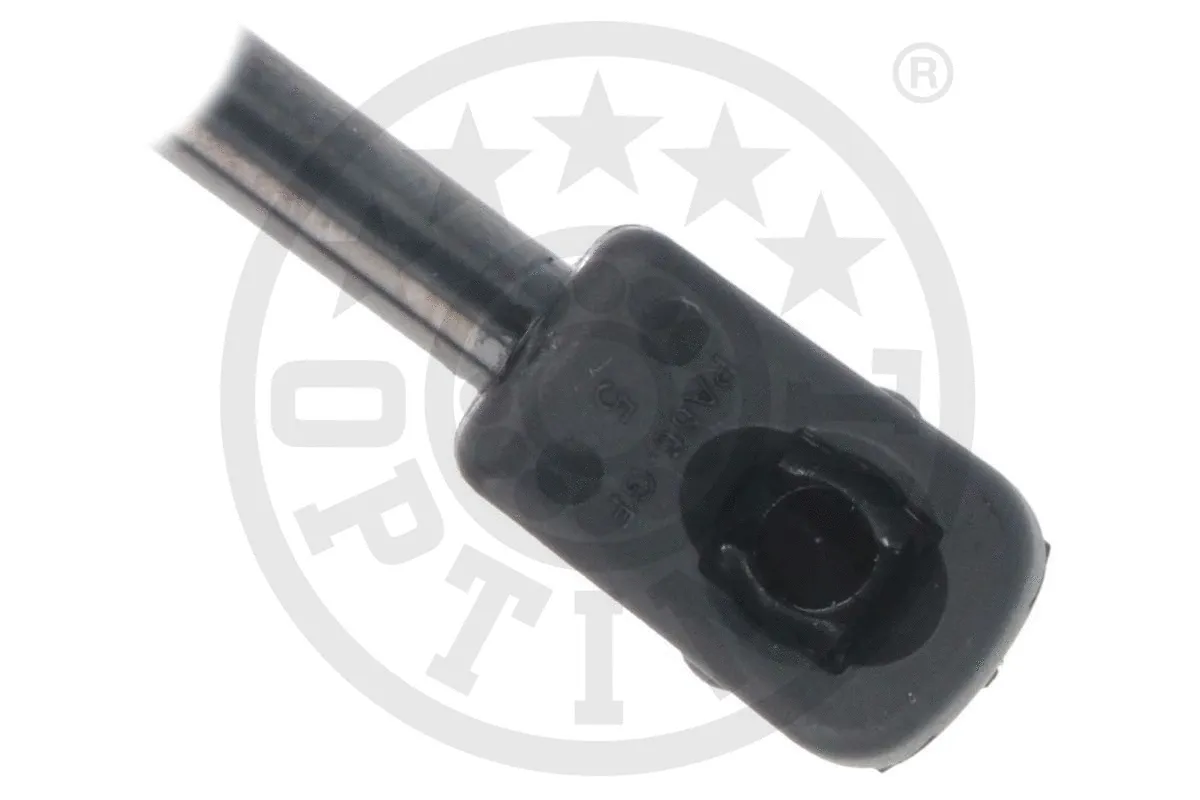 Gas Spring, boot/cargo area