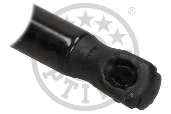 Gas Spring, boot/cargo area