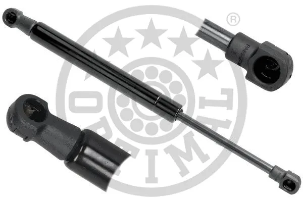 Gas Spring, boot/cargo area (AG-40552)