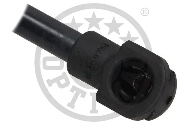 Gas Spring, boot/cargo area