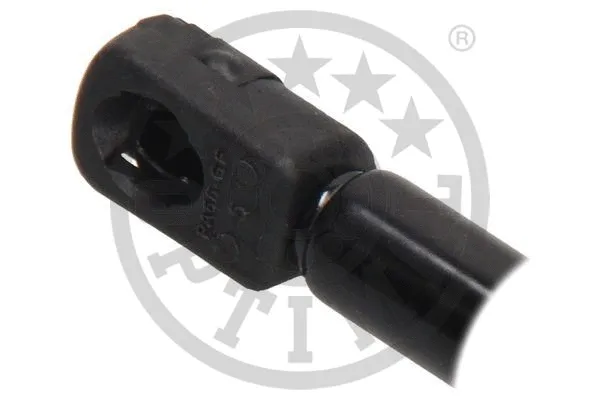 Gas Spring, boot/cargo area