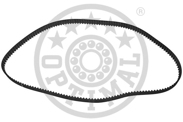 Timing Belt (R-1299)