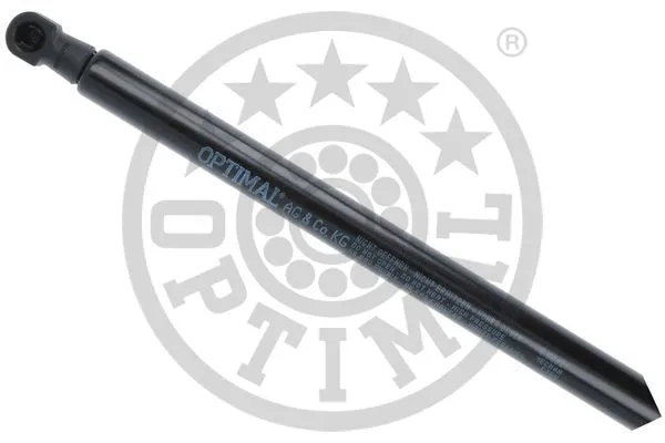 Gas Spring, boot/cargo area
