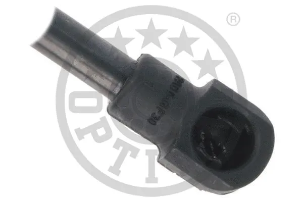 Gas Spring, boot/cargo area