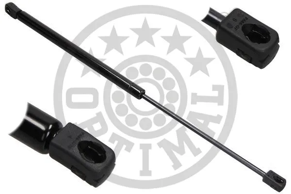 Gas Spring, boot/cargo area (AG-40361)
