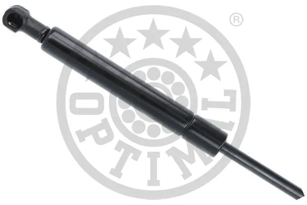 Gas Spring, boot/cargo area