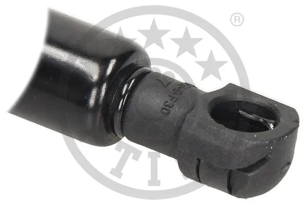 Gas Spring, boot/cargo area