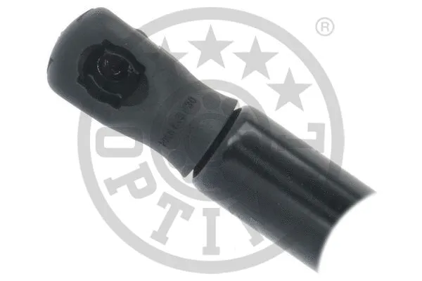 Gas Spring, boot/cargo area