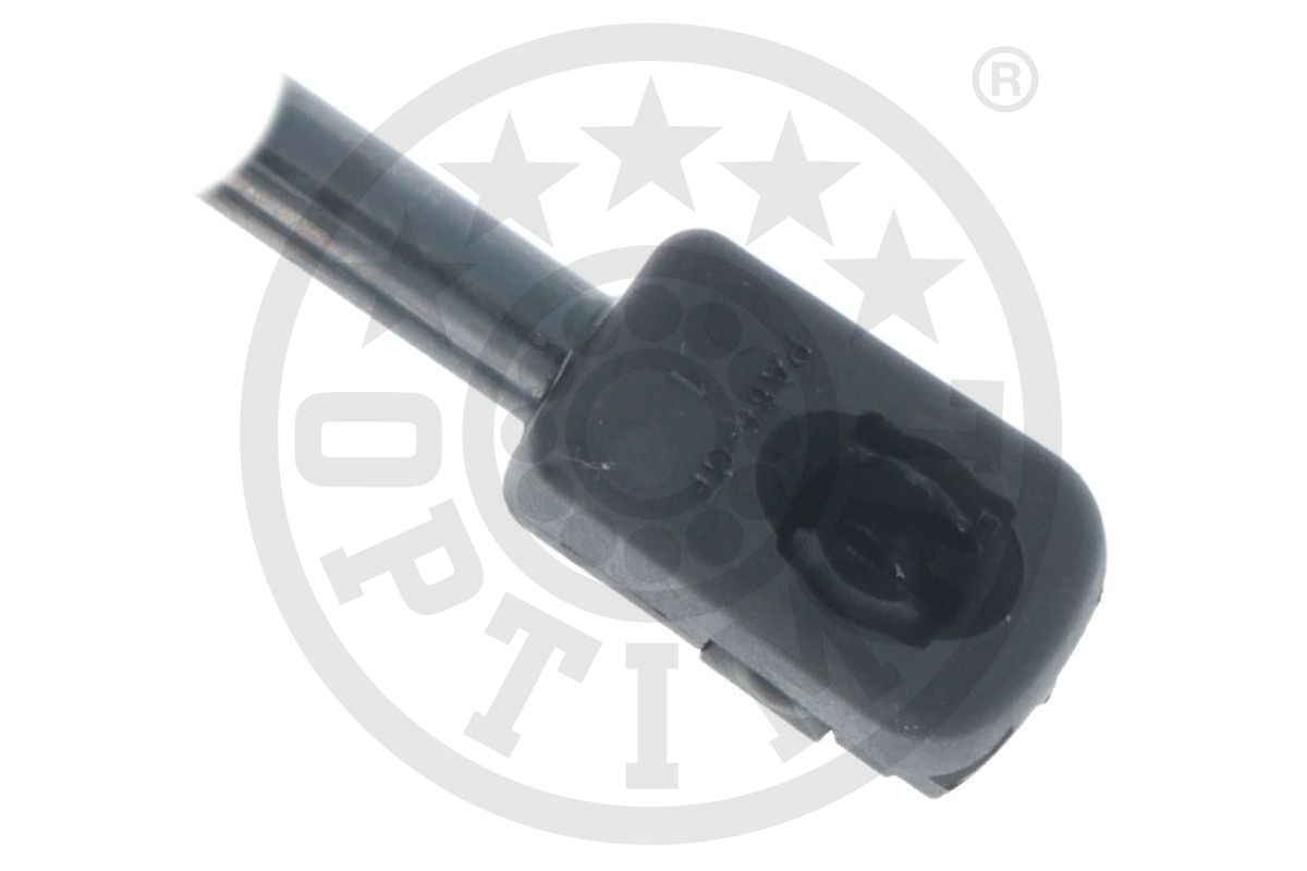 Gas Spring, boot/cargo area