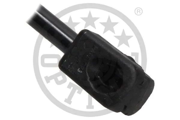 Gas Spring, boot/cargo area
