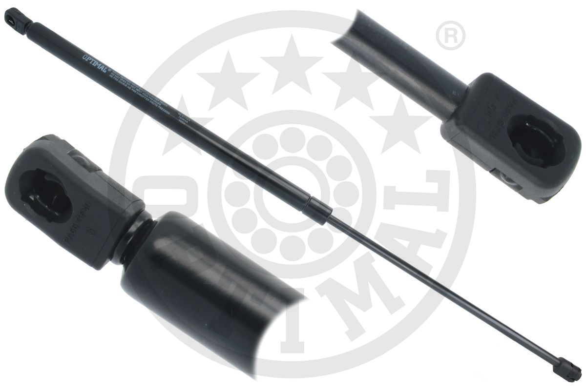 Gas Spring, boot/cargo area (AG-51729)