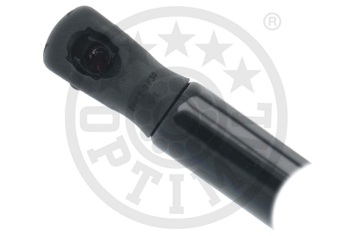 Gas Spring, boot/cargo area
