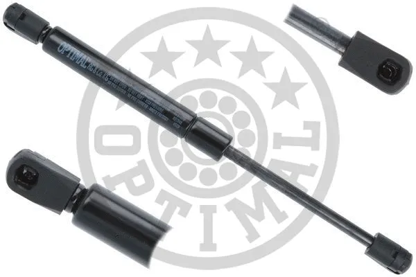 Gas Spring, boot/cargo area (AG-51800)