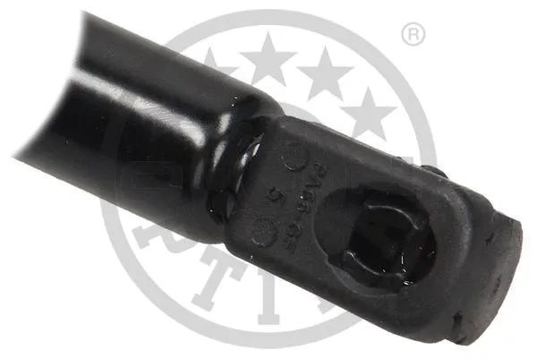 Gas Spring, boot/cargo area